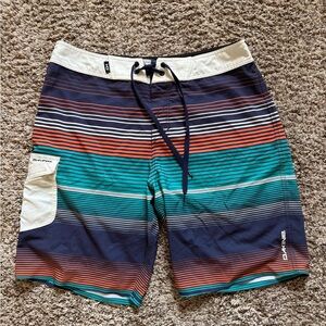 Dakine Men's Multicolor Striped Board Shorts